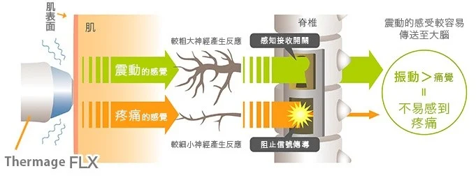 電波探頭-3D綜合環狀震動模式